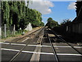 Railway Line North of Paddock Wood