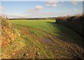 Field near Penkelly