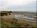 Coastal cliff