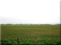 Farmland off Ford Road