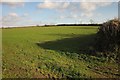 Field near Ashen Cross