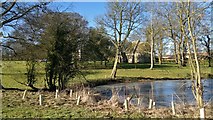SE9629 : Wauldby Dam and chapel beside Wauldby Manor Farm by Chris Morgan