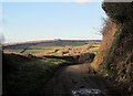 Lane near Pendriffey