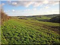 Towards the West Looe valley