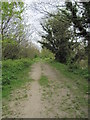 Royal Military Canal Path