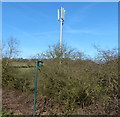 Communications mast next to the M1 motorway