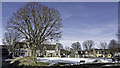 Tree on the square in Tomintoul