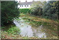 Bracken Cottage Pond