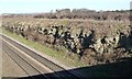 SE4608 : Rock face in railway cutting west of Frickley by Christine Johnstone
