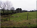 Cranlome Townland