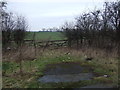 Field entrance off Hull Bridge Road 