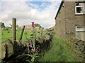 Calderdale Way, Upper Brockholes