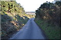 Lane, Hartland Moor