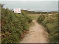 SS7980 : Bridleway at the Pyle & Kenfig Golf Club by eswales