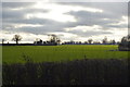 Farmland south of Dereham Rd