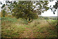 Sunken bridleway