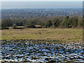 View west across Coalville