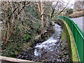 White water on the Dulais below Upper Mill Road,  Pontarddulais