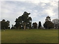 Cemetery between Doxey Marshes and A5013