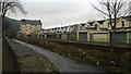 Rear of houses on Dyfodwg Street