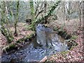 Nant Llethryd Stream