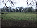 Grazing west of Carr Lane