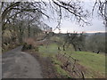 Lane between Melplash and Loscombe, adjoining orchard