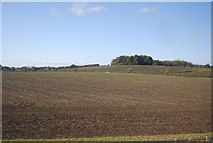 SP9122 : Fallow field by N Chadwick