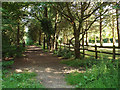 Footpath down from Newbourne Hill to Rowney Green