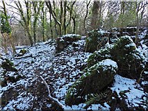NS3878 : Limestone outcrops in Craigandro Wood by Lairich Rig