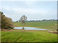 Flooded field near Wickham Hall