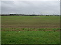 Flat farmland, Boughton