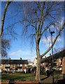 Square on Cresset Street, Clapham