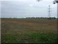 Flat farmland and pylon, Wash Dike