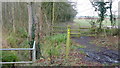 Footpath by the Ban Brook