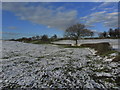 Snowy winter scene on path N from Marton Lane, Gawsworth