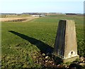 NU1630 : Trig point on Ell Hill by Russel Wills