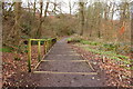 Woodland Footpath at Glengall Bridge