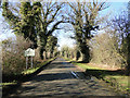 Road to Thompson near Top Farm