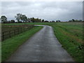 A bend in Star Fen Drove