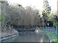 The New River just east of Great Amwell (2)