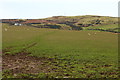 Farmland near Genoch Farm