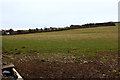 Farmland near Perryston Farm