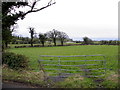 Annaghsallagh Townland