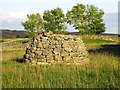 Capped Mineshaft, Housley