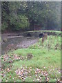 Old bridge over the stream at Cofflete Creek