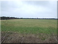 Farmland, Dunswell