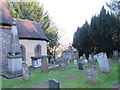 TL3712 : The church of St. John the Baptist, Great Amwell - churchyard (3) by Mike Quinn