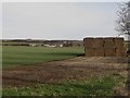 Arable field north west of Lucker