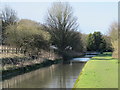 The New River between Lower Road and Amwell Hill, SG12